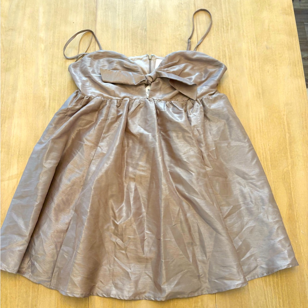 NWT Francesca’s Shimmery Bubble Dress